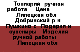 Топиарий (ручная работа) › Цена ­ 1 200 - Липецкая обл., Добринский р-н, Пушкино с. Подарки и сувениры » Изделия ручной работы   . Липецкая обл.